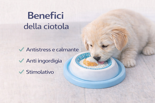 Ciotola anti-stress