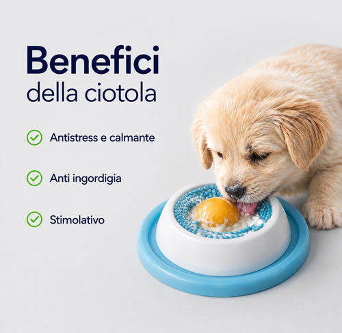 Ciotola anti-stress